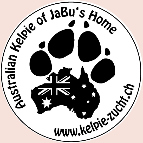 Grafikstempel erstellen