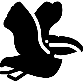 Pelikan
