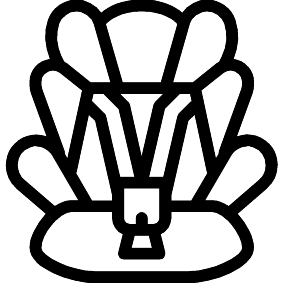 Autositz