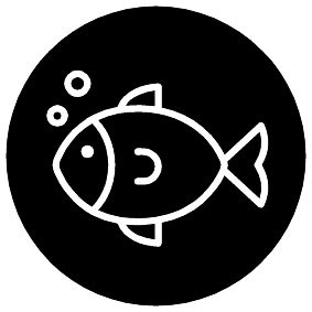 Tauchen 23