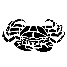 Meerestier 11