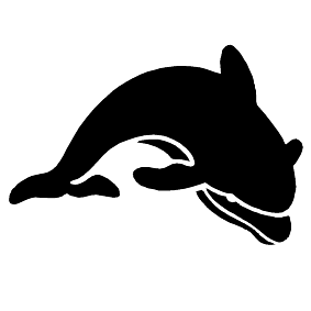 Meerestier 13