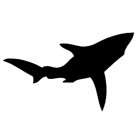 Meerestier 15