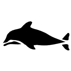Meerestier 17