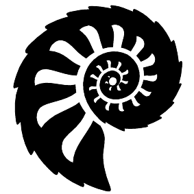Muschel 04