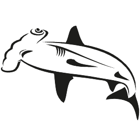 Haifisch 06