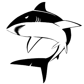 Haifisch 08