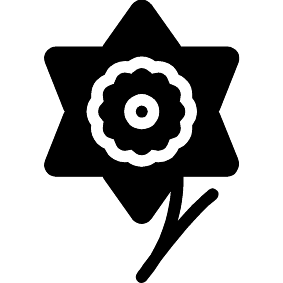 Narzisse