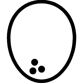 Kokosnuss