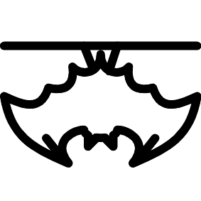 Fledermaus