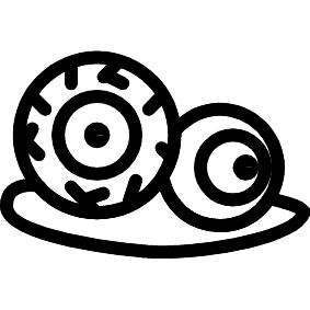 Augapfel
