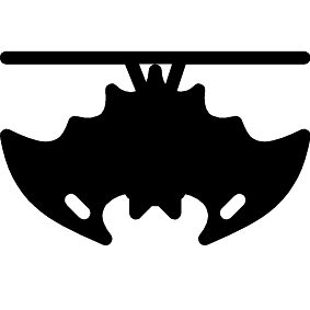 Fledermaus