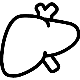 Leber