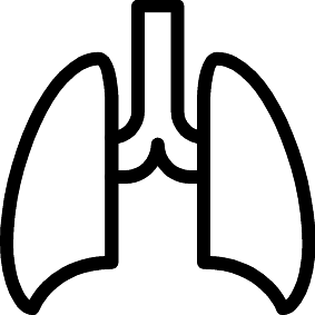 Lungen