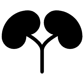 Nieren