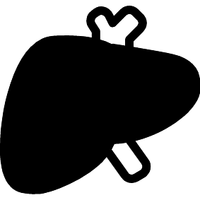 Leber