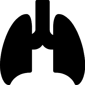 Lungen