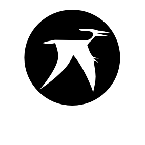 Dinosaurier 036