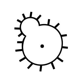 Kritzelei 052