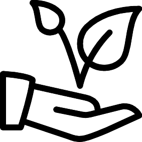 Pflanzenpflege