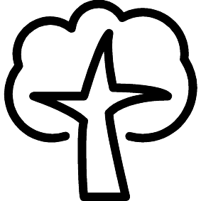 Baum