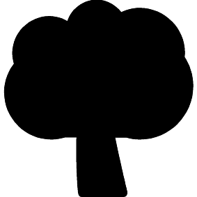 Baum