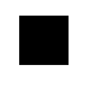 Symbol 100