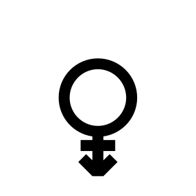 Symbol 081