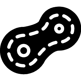 Bakterien