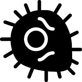 Bakterien