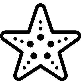 Seestern