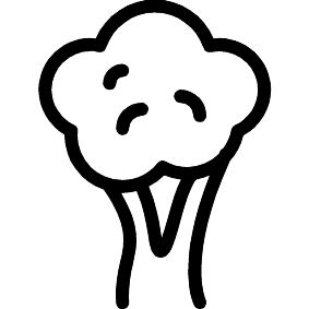 Brokkoli