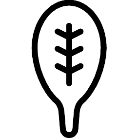 Spinat