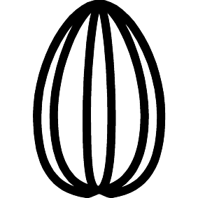 Sonnenblumensaat