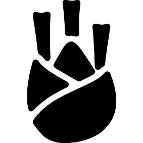 Fenchel