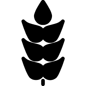 Getreide