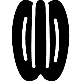Pekannuss