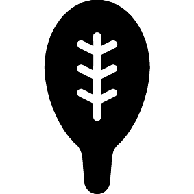 Spinat
