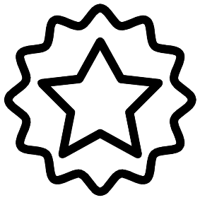 Abzeichen Stern