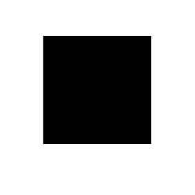 Symbol 110