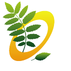 Logo 47: Layouts mit diesem Logo zeigen